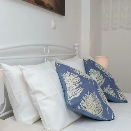 Nicki's House アパート Agia Anna (Naxos)